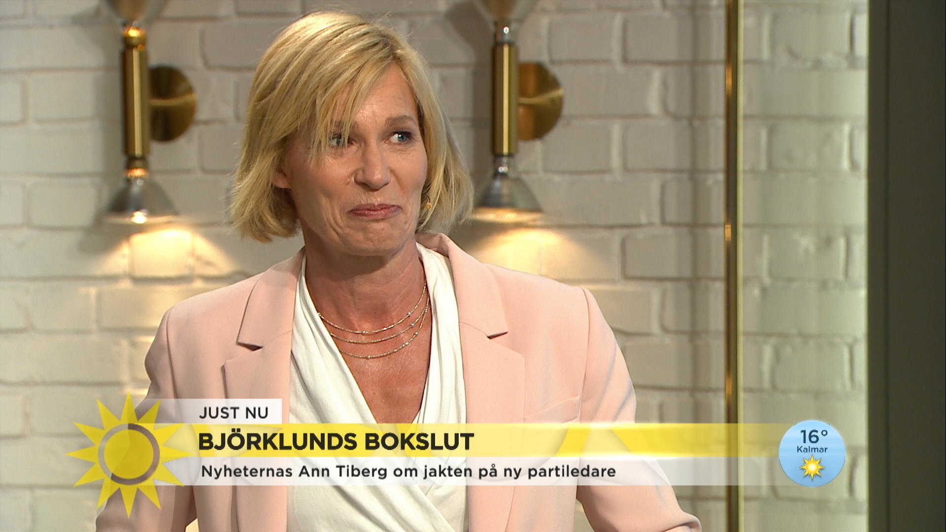 Ann Tiberg Om Liberalernas Framtid: "Oviss In I Det Sista"