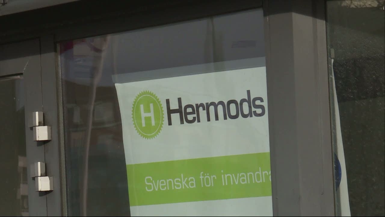 Hermods Fuskade Med SFI