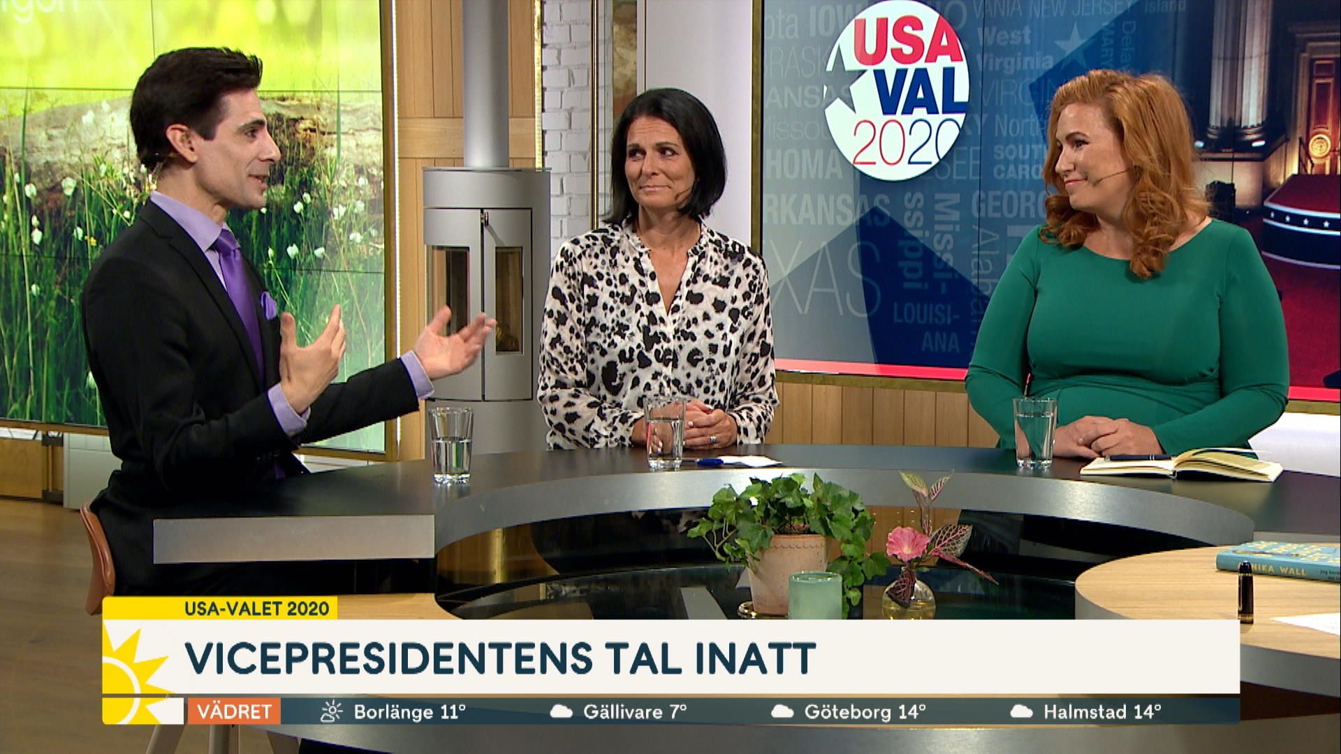 USA-panelen: 