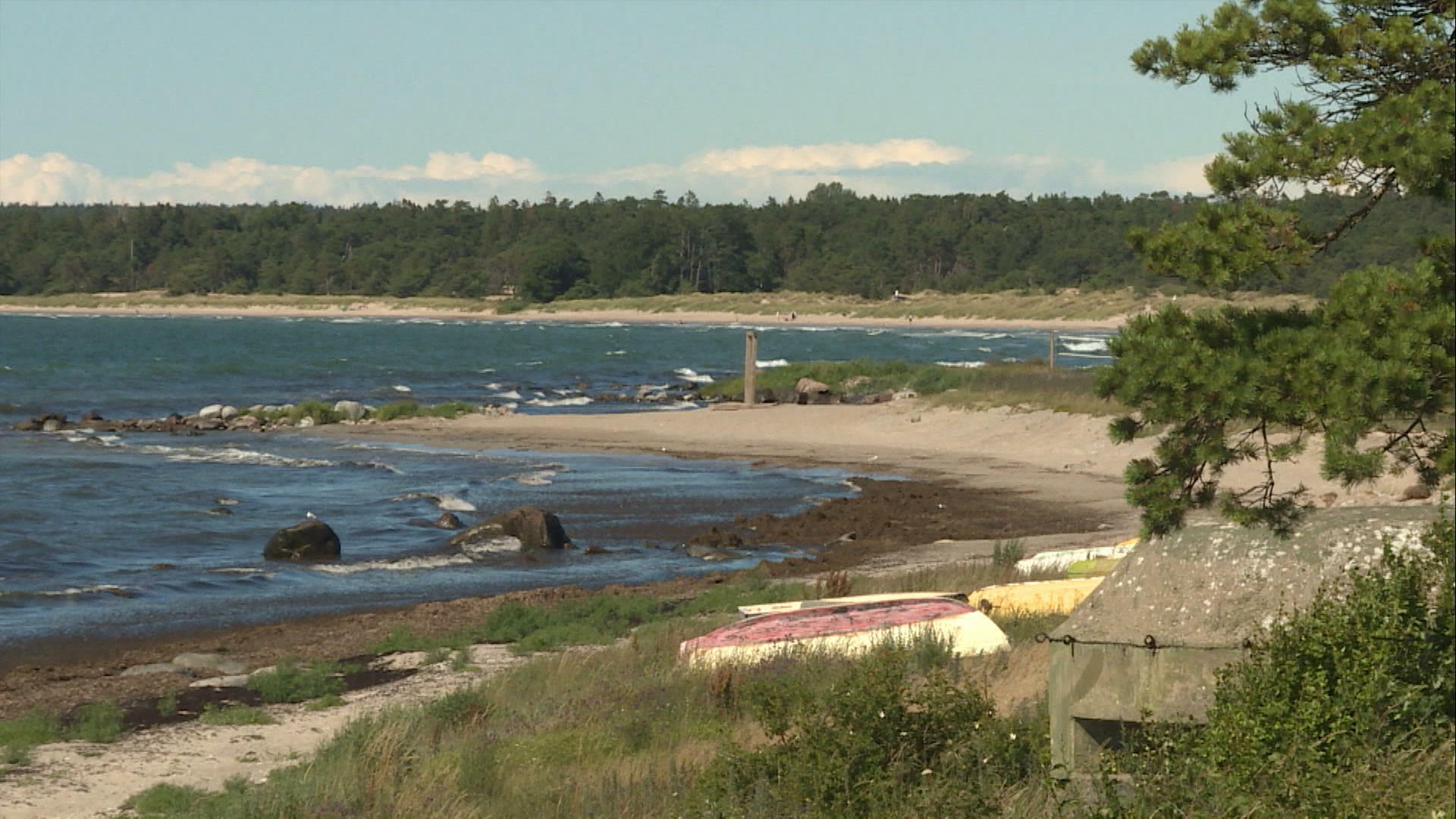 Forskare Uppmanar Till Ny Utredning Om Strandskyddet 