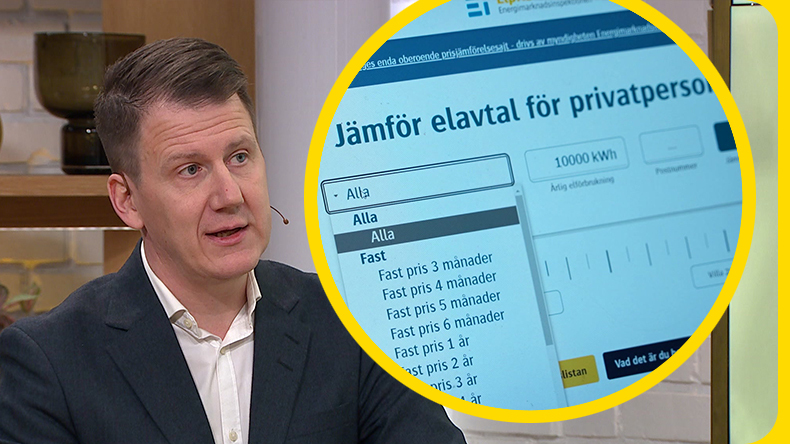 De Fyra Vanligaste Elavtalen: ”fördelarna Och Nackdelarna"