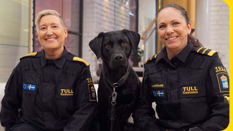 hunden-ash-r-ny-p-jobbet-ett-av-tullverkets-viktigast