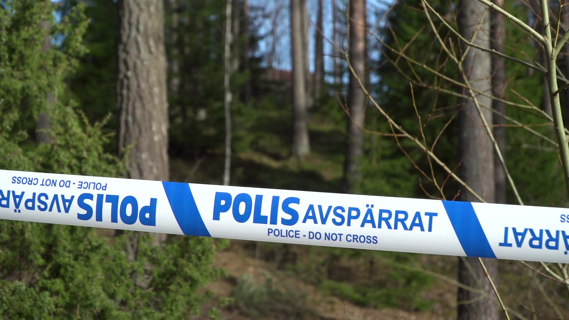 Man Gripen För Mord På Kvinna I Jönköping