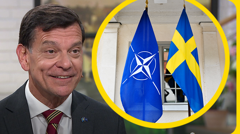 Så Påverkas Sverige Om Nato-ansökan Dröjer