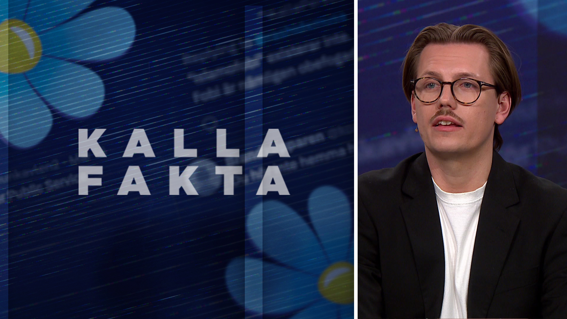 SD Svarar Efter Kalla Faktas Granskning Av Trollkonton