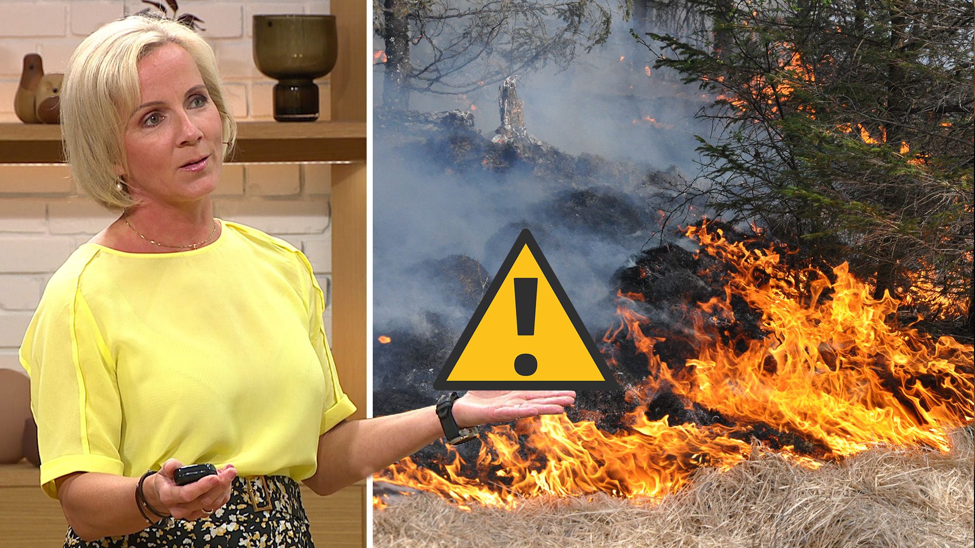 Stor risk för skogsbrand i stora delar av landet – så kan...