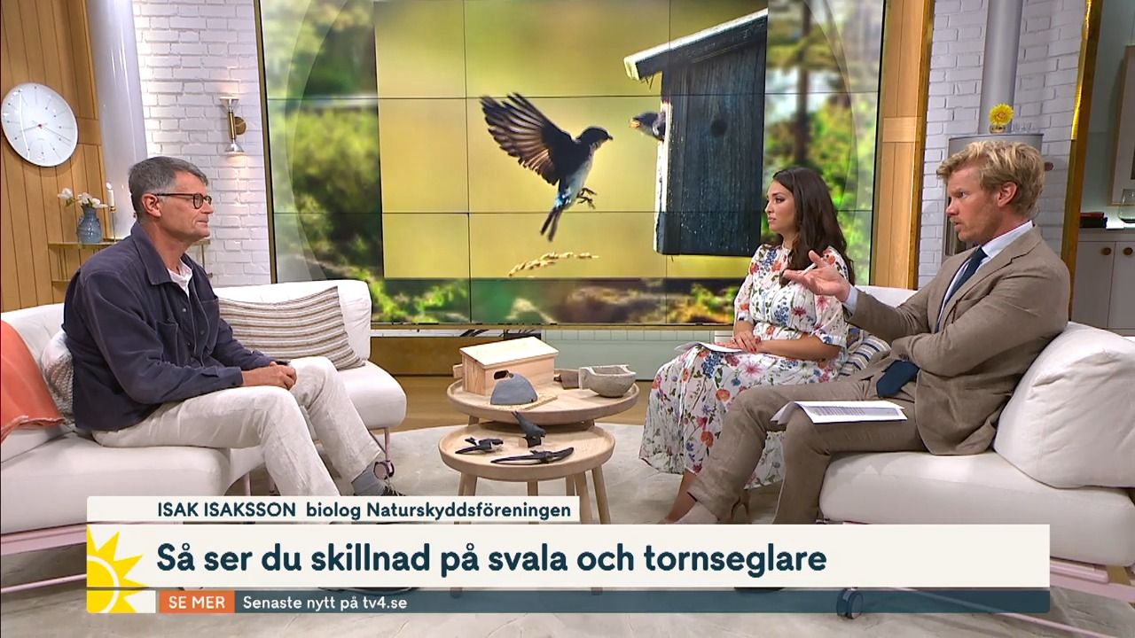 Här får programledarna höra fåglarnas ljud