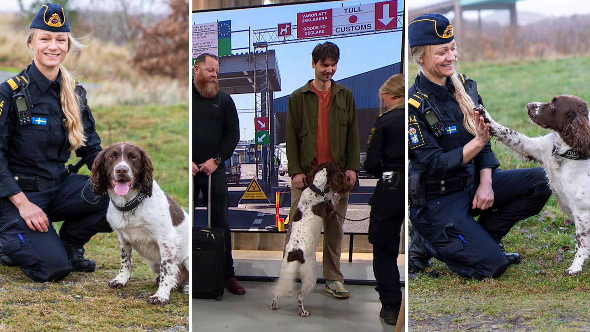 Narkotikahunden Skip hyllas – ”Pipleksak är bästa lönen”
