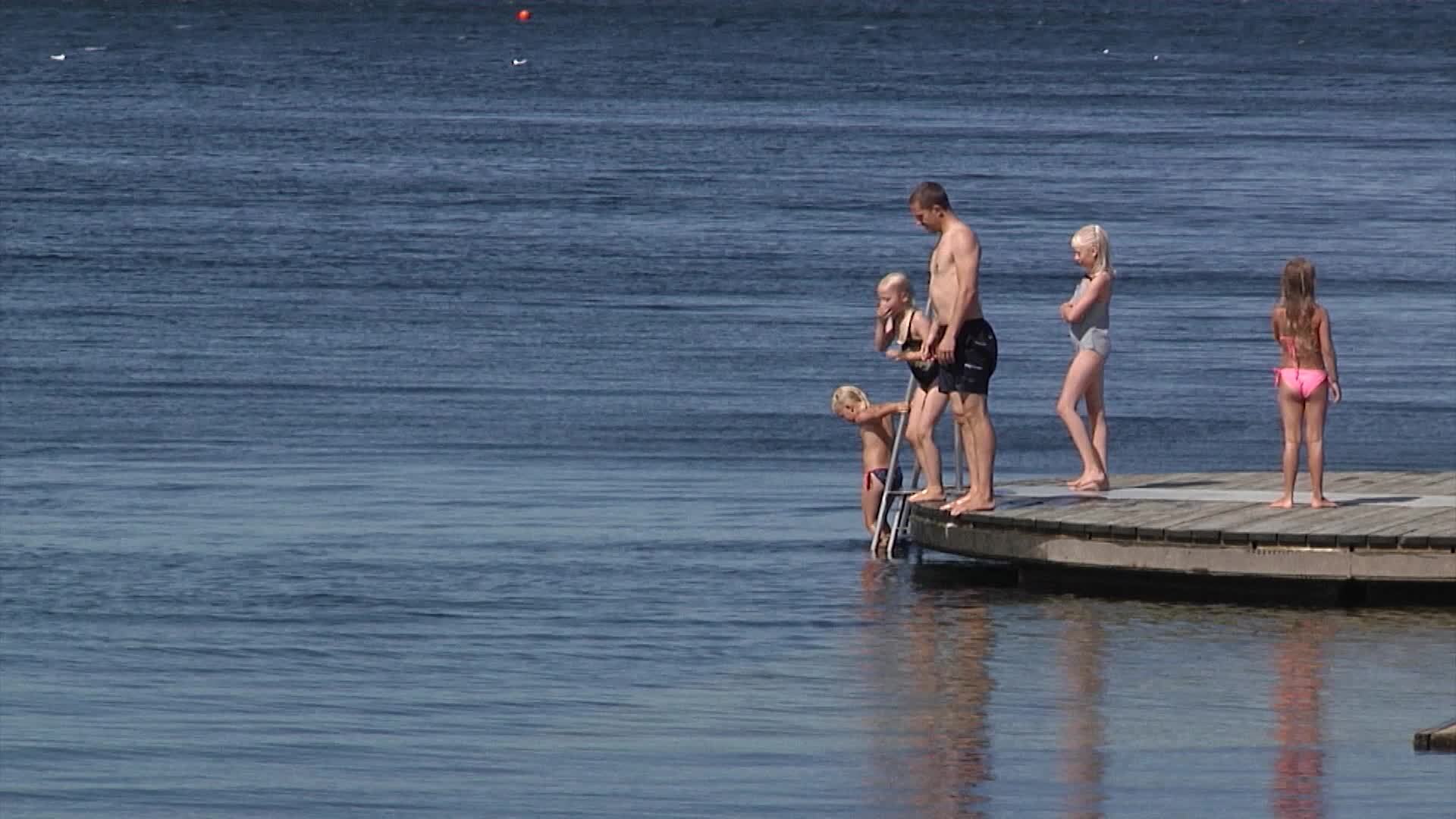 Så här påverkar algblomning i Värmland, Sörmland och Stockholm ditt sommarbad 2025