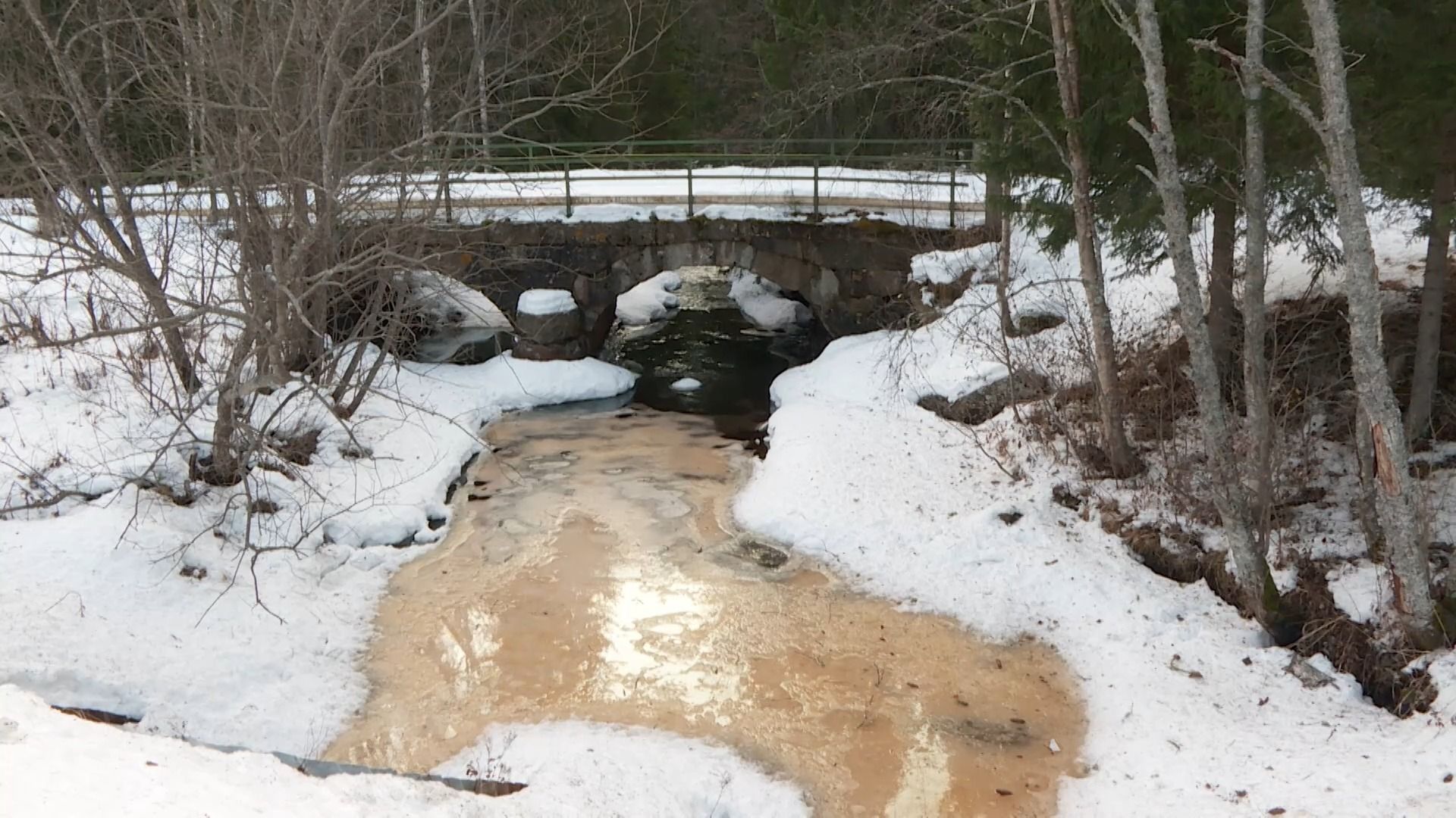 Protester mot gruvbrytning i alunskiffer