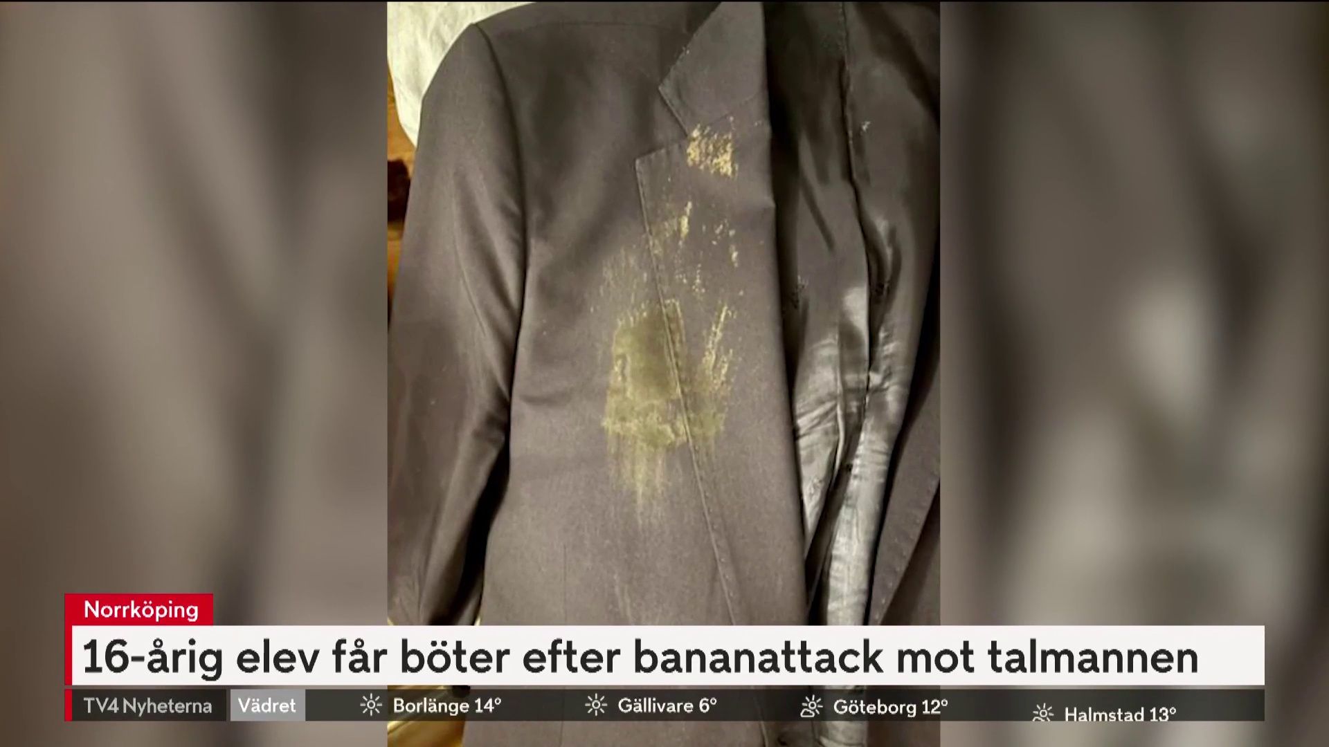 16-årig elev får böter efter bananattack mot talmannen